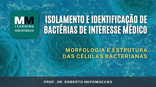 Isolamento e Identificação de Bactérias  Morfologia e Estrutura das Células Bacterianas [upl. by Edrock]