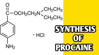 Synthesis of procaine  Procaine synthesis in easy way [upl. by Posehn]