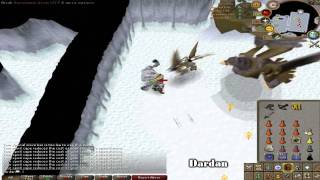 RuneScape Solo Armadyl with Full Pernix amp Divine Ccb Rigour Ovl [upl. by Eronaele359]