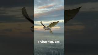 Flying Fish  A Fish that can Fly as well as Swim ytshorts facts science [upl. by Glassman]