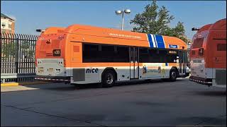 NICE bus Bus action at Hempstead Transit Center [upl. by Ahsirkal]