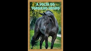 a volta do tordilho negro clipe [upl. by Lobel421]