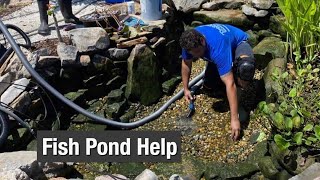 Fish Pond Help [upl. by Dorrehs]