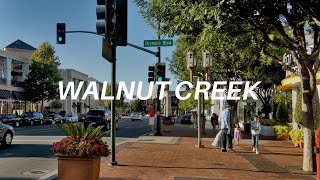 Neighborhood Tour of Walnut Creek CA [upl. by Akiria]