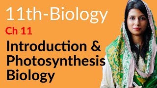 FSc Part 1 Biology Ch 11  Explain Photosynthesis  11th Class Biology [upl. by Preston]