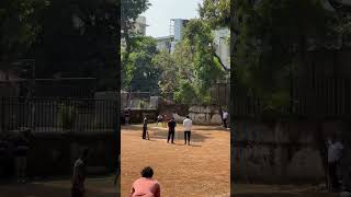 1 Ball 2 Runs cricket cricketlover tenniscricket cricketnews cricketfans [upl. by Llewkcor]