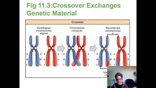 Ch11 Meiosis Narration Bio 181 [upl. by Laekim]