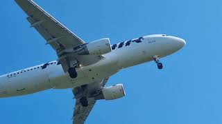 Plane Spotting at Helsinki Airport on warm summer day  Rush hour [upl. by Shifrah374]