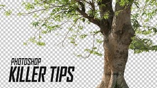 Photoshop TutorialTips  Cut Out Tree in Photoshop  Cropping Defringe in HindiUrdu [upl. by Ernald]