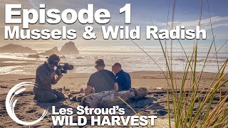 Survivorman  Wild Harvest  Season 1  Episode 1  Mussels amp Wild Radish  Les Stroud [upl. by Ginnie]