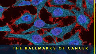 Hallmarks of Cancer The Secret Traits That Make It Invincible [upl. by Holzman29]