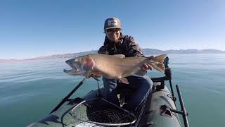 20 POUND Lahontan Cutthroat Trout Pyramid Lake Nv [upl. by Trotter684]