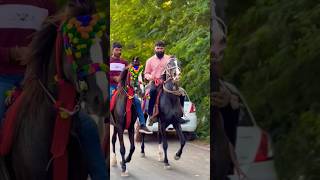 horse riding status  ram gadhavi  heer horse horse ghodi kathiyawadighodi ghodo shorts [upl. by Awuhsoj993]