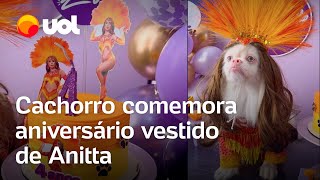 Cão tem festa de aniversário com tema Ensaios da Anitta e roupa igual a da cantora veja vídeo [upl. by Wernda]