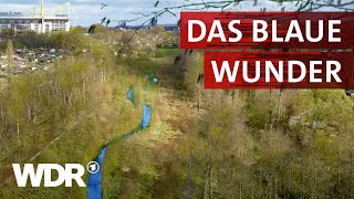 Die Emscher – Von der Kloake zum Naturparadies  Heimatflimmern  WDR [upl. by Schwerin470]