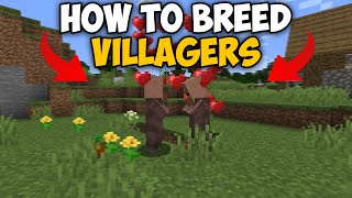 Minecraft How To Breed Villagers 121 [upl. by Onirefes46]