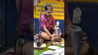 Elisha fish cutting Elisha fish cutting skillsElisha fish cutting KolkataCalifornia fish grill [upl. by Scornik100]