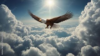 Fly like an Eagle  Isaiah 4031 [upl. by Yannodrahc]