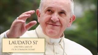 Pope Francis  Laudato Si  06 Chapter 3 a EnglishAudio [upl. by Nerrak]