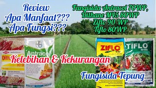 Review Manfaat Dan Fungsi Fungisida Antracol 70WP Dithane M45 80WP Ziflo 90 WP Tiflo 80WP [upl. by Croteau]