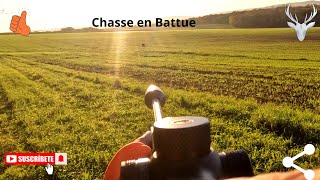 Chasse aux sangliers un bon début de saison [upl. by Tnattirb]