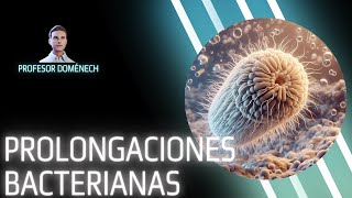 Prolongaciones bacterianas FLAGELOS FIMBRIAS y PELOS [upl. by Takashi]