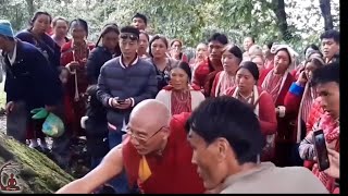 ཚངས་དབྱངས་རྒྱ་མཚོའི་མགུར་གླུ། Dharma Song of Tsangyang Gyatso [upl. by Naerol583]