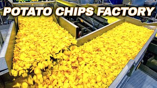 How Potato Chips Are Made  Chips Production Line  Potato Chips Factory [upl. by Aronaele287]