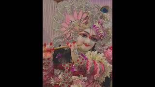 Heri sakhi mangal gao ri🙏💐radhekrishna radheradhe kanhashorts trending [upl. by Celene619]