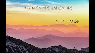 2024 이냐시오 영성 일일 침묵 피정 2부 영들의 식별 강의 구동욱 미카엘 신부 SJ [upl. by Eylrac]