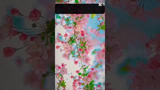 Mijanur rohman ajhari ❤️❤️❤️ মিজানুর রহমান আজহারী।islamicvideo islamic waz shortvideo vairal [upl. by Fonda67]