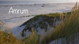 Amrum  Der Süddorfer Strand [upl. by Maharg]