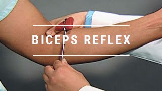 Biceps Deep Tendon Reflex Examination  AssessmentReflex Exam Normal Biceps Reflex Exam [upl. by Lednyc]