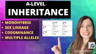 Inheritance Punnet Square Genetic Crosses Overview of all inheritance for Alevel Biology [upl. by Araid66]