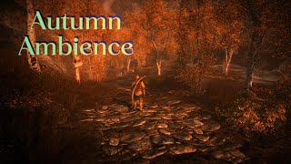 Relaxing Ambience at Riften  Elders Scrolls Skyrim Headphones Recommended [upl. by Cristen597]