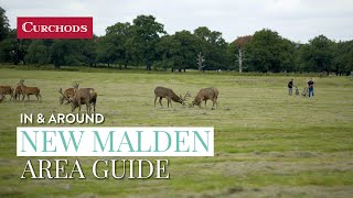 In amp Around New Malden  Area Guide [upl. by Yorgo]