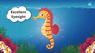 Fun Facts About Seahorses For Kids  Learn All About Seahorses [upl. by Raney]