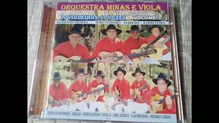 03 ORQUESTRA MINAS E VIOLA CD Vol 03 Falou e disse Tião Carreiro  Lorival dos Santos e Piraci [upl. by Ardried]