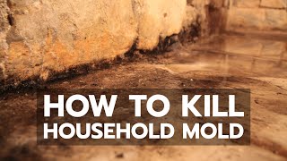 How to Kill Household Mold [upl. by Salvidor332]