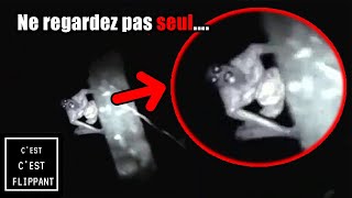 Ces 50 vidéos LES PLUS FLIPPANTES du moment vont vous laisser SANS SOMMEIL COMPILATION PARANORMALE [upl. by Kayley]