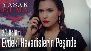 Ender evdeki havadislerin peşinde  Yasak Elma 20 Bölüm [upl. by Gardell]