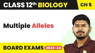 Multiple Alleles  Principles of Inheritance and Variation  Class 12 202223 [upl. by Susann]