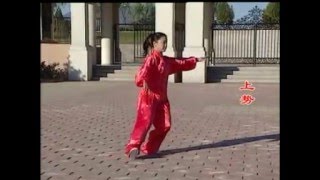 Traditionele Tai Chi Chuan [upl. by Asoramla]