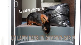 Vivre avec un LAPIN dans un CAMPINGCAR  Organisation part 2 [upl. by Ku851]