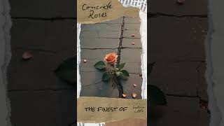 Concrete Roses rose roses concrete writer writing universe mitanni publishing saleem [upl. by Stent]