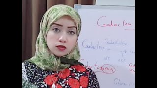 CHO METABOLISM Biochemistry Session 16Cori cycle Alanine cycle amp Galactose Metabolism [upl. by Carena]