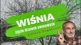 Zimowe cięcie wiśni [upl. by Ursas]