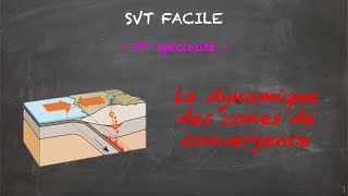 SVT FACILE  1ère spé  La dynamique des zones de convergence [upl. by Auhsoj]