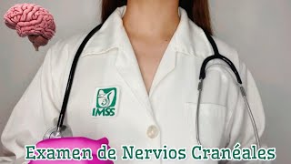 ASMR Examen de Nervios Cranéales 🧠 [upl. by Otreblada]