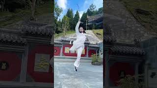 武当剑，Wudang wushu sword kiếm pháp Võ Đang ушу меч wushutaolu martialarts wushu [upl. by Isolde]